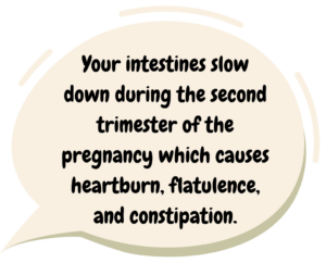 cropped-Pregnancy-facts-3-1-300x242