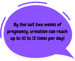 cropped-cropped-Pregnancy-facts-4-300x244